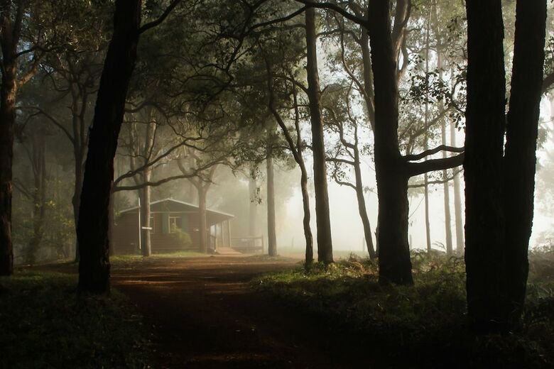 Balingup Heights Hilltop Forest Cottages