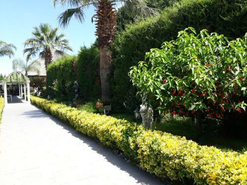 Hotel Belvedere