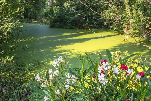 Hotel Ch�teau De Bossey