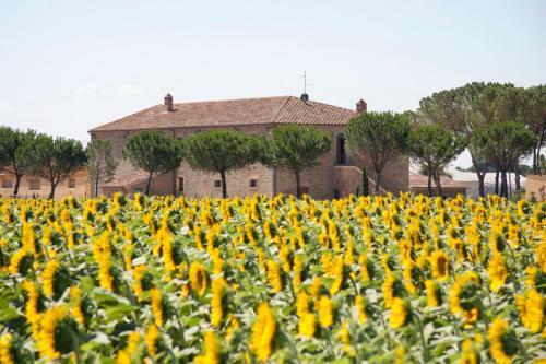 Agroturismo Terra Di Cortona