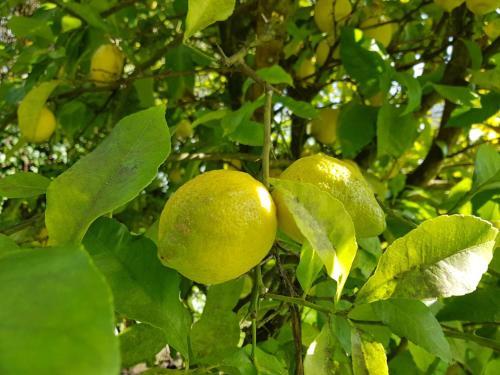 Agroturismo Casona De San Pantale�n De Aras