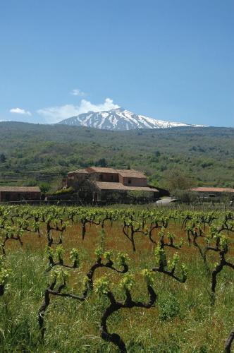 Agroturismo Agriturismo Valle Galfina