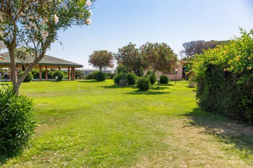 California Camping Village