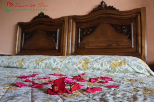 Agroturismo Fattoria Delle Rose