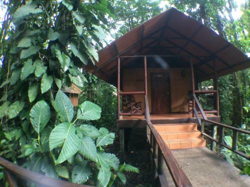 Hotel Cabinas Rana Roja