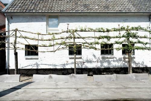 Agroturismo Cour 8 Lofts