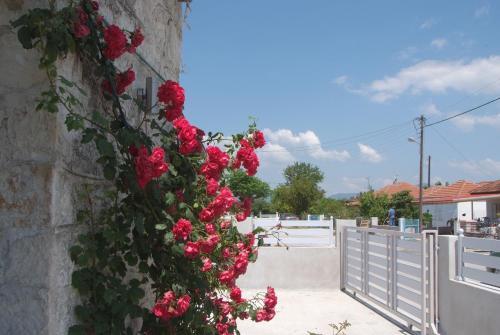 Agroturismo Bostanaki House