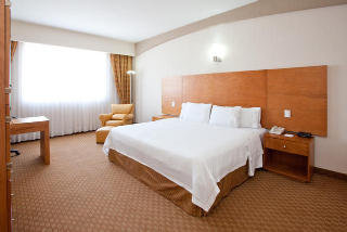 Hotel Holiday Inn Express San Luis Potosi
