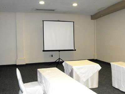 Hotel Holiday Inn Express San Luis Potosi