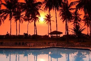 Hotel Palm Village