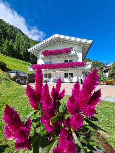 Apartamento Appartement Skorpion