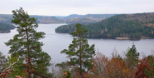 Hostal Bj�rkfors Kajak & Hostel