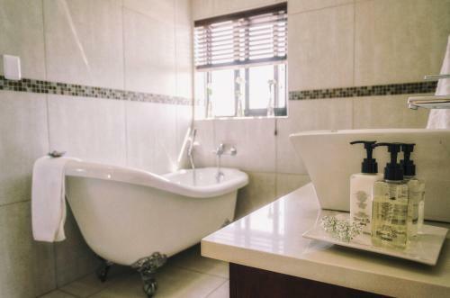Hostal Stone Olive