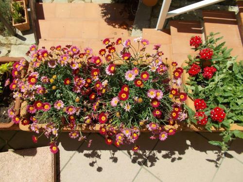 Holiday House Torre Di Manfria