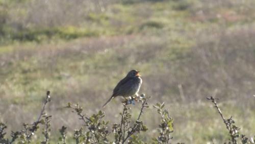 Casa Do Compadre - Casas De Taipa