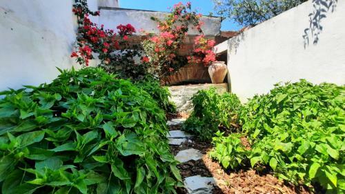 Casa Do Compadre - Casas De Taipa