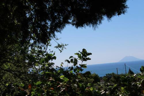 Hostal Agriturismo Ruralia