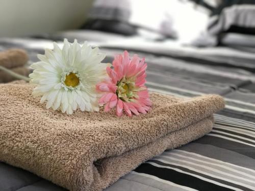 Ocalia Apartment Aruba