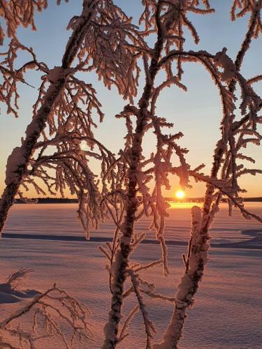 Lapland Dream Villas