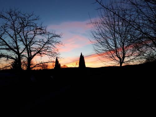 Bed & Breakfast H�bergements Insolites En Cabanes