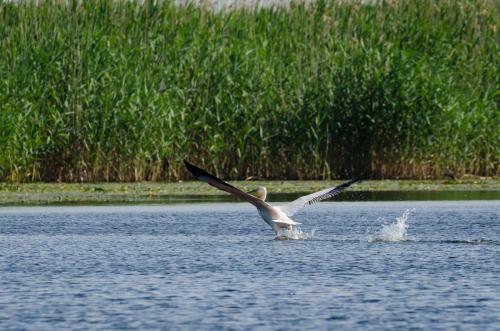 Agroturismo La Raducu