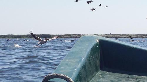 Agroturismo La Raducu