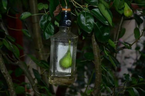 Hostal Pensiunea Valcinet