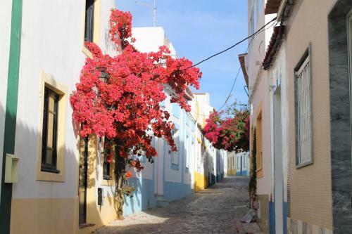 Apartamentos Turisticos Praia Grande
