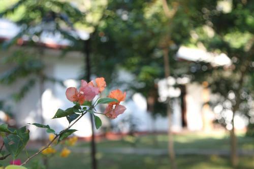 Hotel Clauria