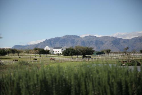 Agroturismo Fijndraai Cottages