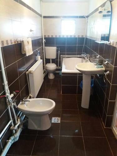 Hostal Pensiunea Poienita 2