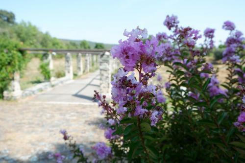 Agroturismo Quinta Da Rica-f�