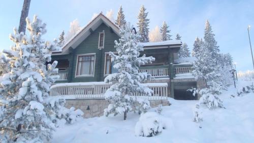 Hostal Tahkonhovi Golden Chalet