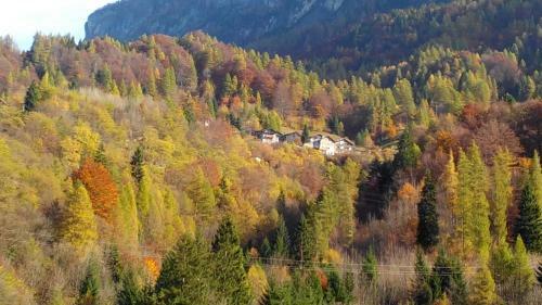 Hostal Casa Alpina