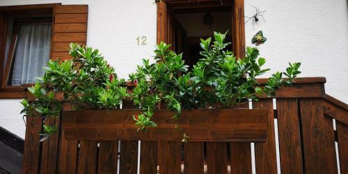 Hostal Casa Alpina