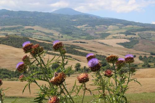 Hostal Agriturismo Passalacqua