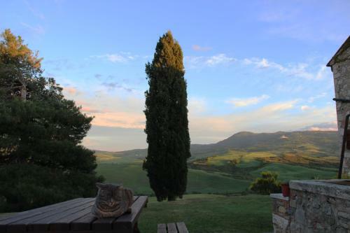 Hostal Agriturismo Passalacqua