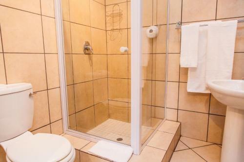 Hostal The Celtis Manor Guest House