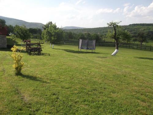 Hostal Pensiunea Printul Vlad