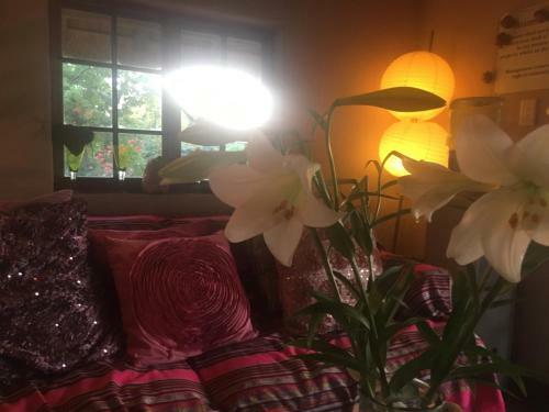 Bed & Breakfast Midrand Wild Goose Guest House