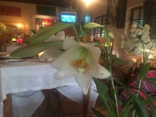 Bed & Breakfast Midrand Wild Goose Guest House
