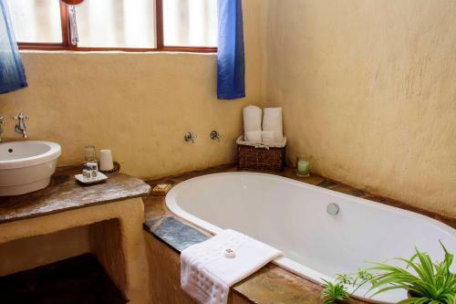 Hostal By Bush Telegraph Lodge
