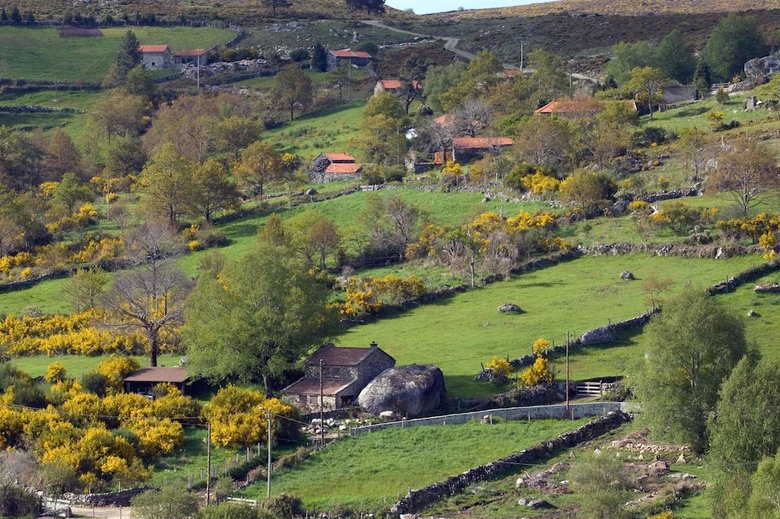Branda Da Aveleira