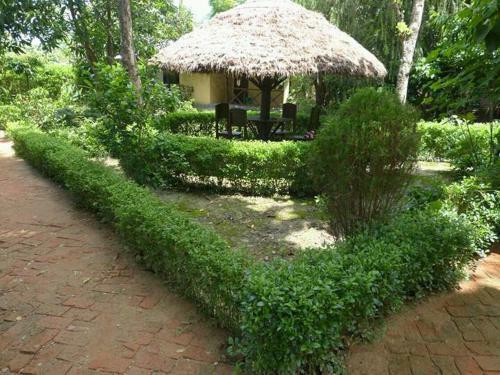 Nature Safari Lodge