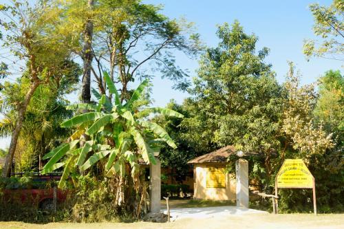 Nature Safari Lodge