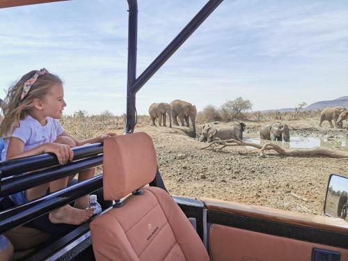 Royal Madikwe Luxury Safari Lodge