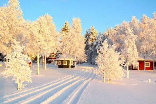 Uitonpuisto Holiday Home