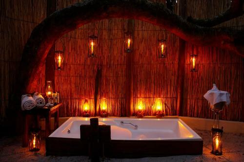 Kosi Forest Lodge