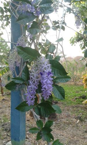 Bed & Breakfast Finca Montania Sagrada