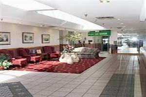 Hotel Comfort Inn The Pointe Niagara Falls